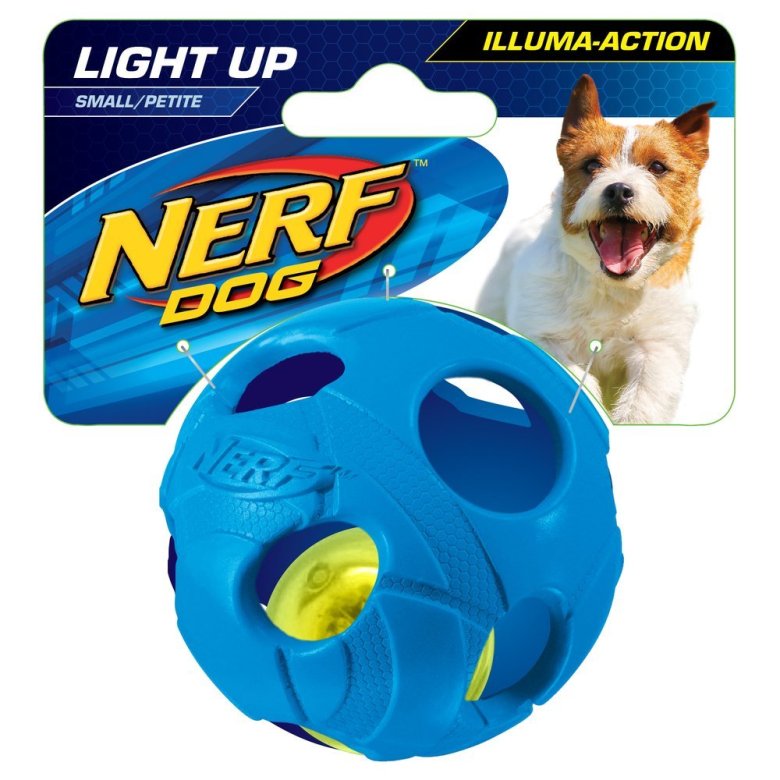 nerf hund