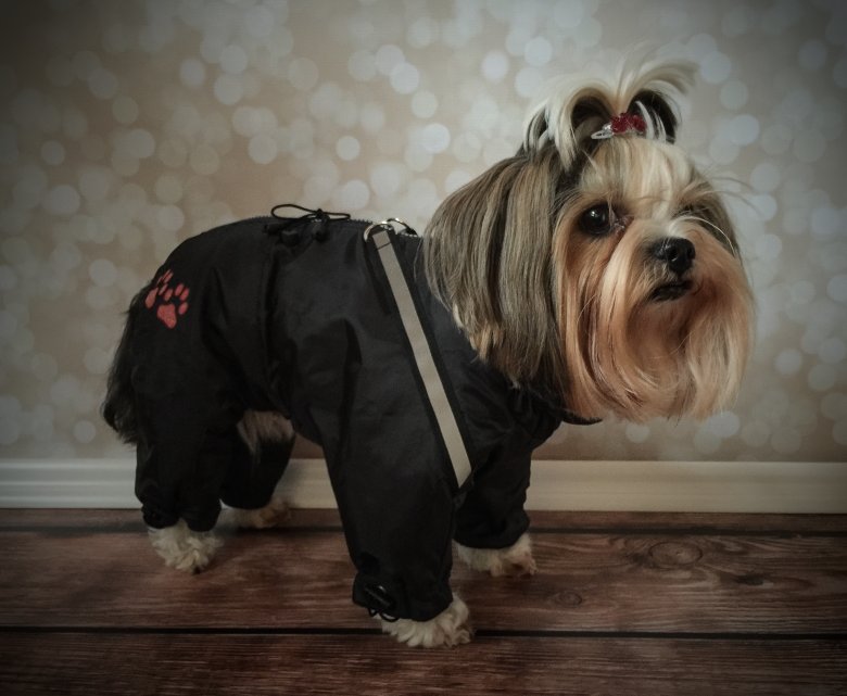 Winteranzug Hunde, Hunde Winteranzug, Schneeanzug für Hunde