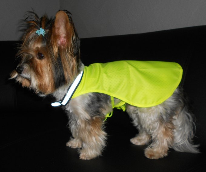 Hunde Regencape, Regenanzug Hunde, Regenweste für Hunde, Hunde