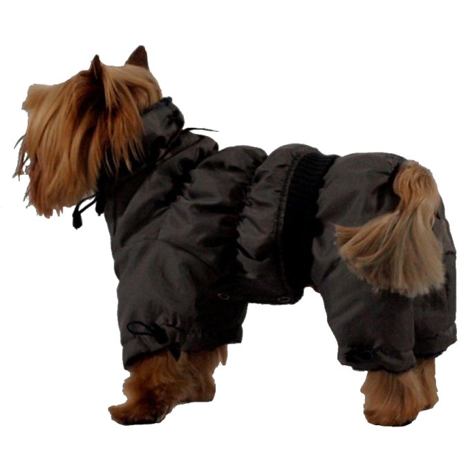 Schneeanzug <em>Alaska</em> anthrazit Winteranzug Hunde Winterschneeanzug eBay