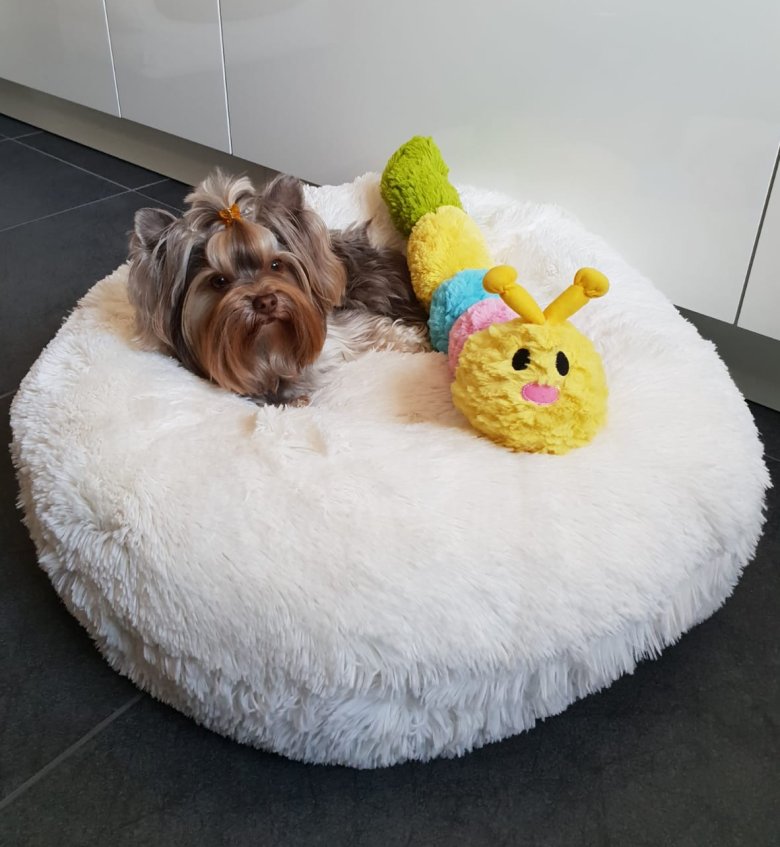 Donut Kissen Hund Nähen